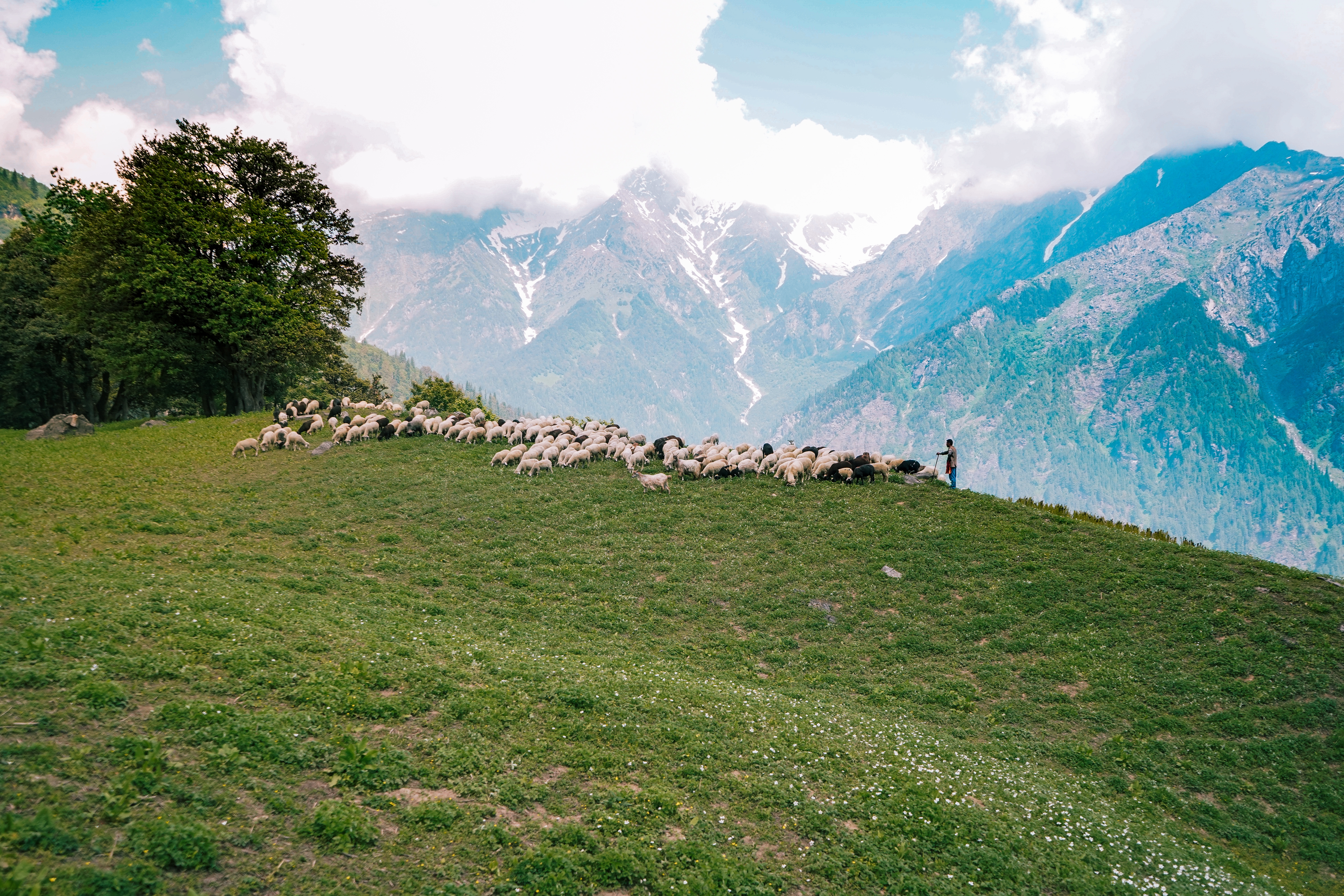 Caucasus Nomad Trail